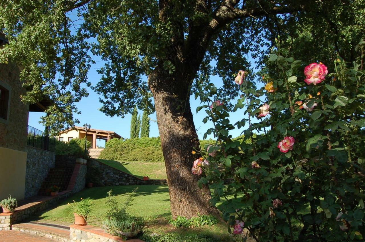 Agriturismo Il Palazzo Pergine Valdarno Esterno foto